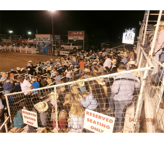  Top section is South Side Sky Boxes, middle section is Reserved Bleachers, and front section is Arena Boxes.