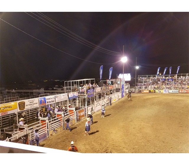 Bucking Chutes and Catwalk Boxes