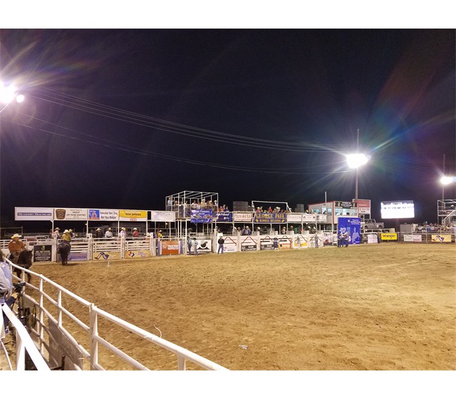 Bucking Chutes with Cat Walk Boxes