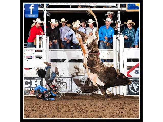 Chandler Bownds Bounty Bull ride